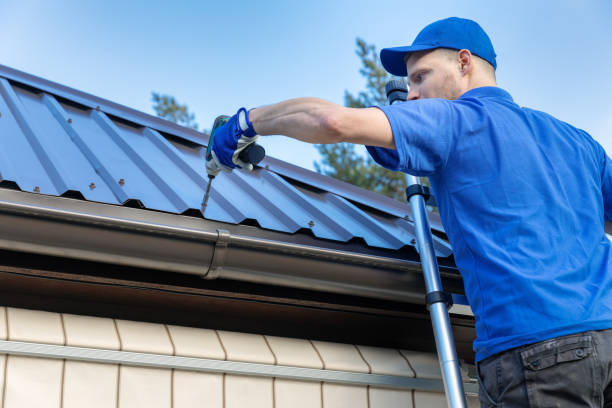 Best Roof Moss and Algae Removal  in Porters Neck, NC